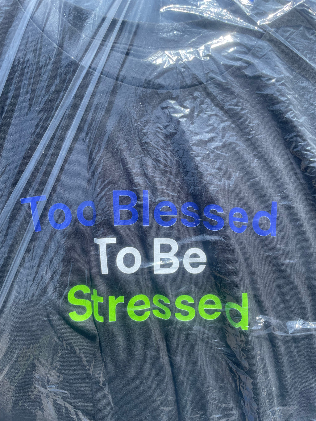 Heavenly Blessed Divine t-shirts